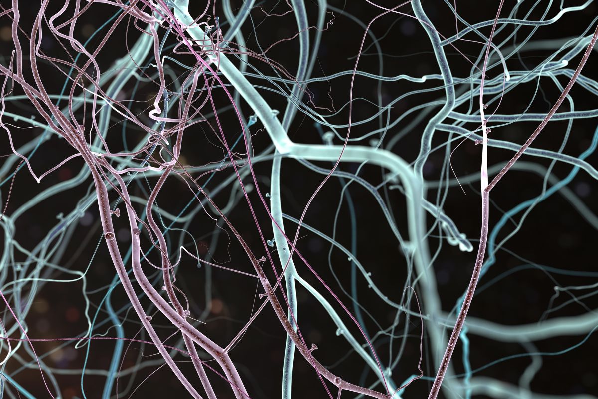 how neuromarketing influences what you buy