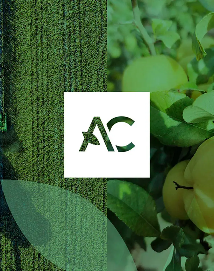 Memorability in branding