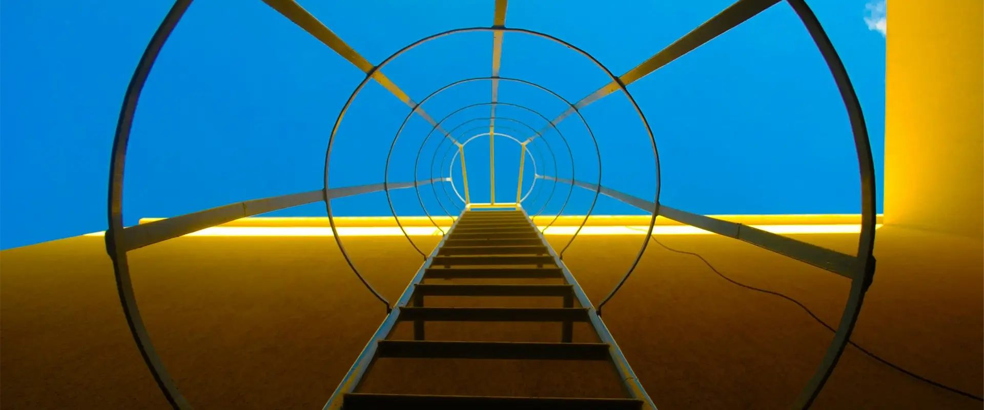 Increased trust and loyalty