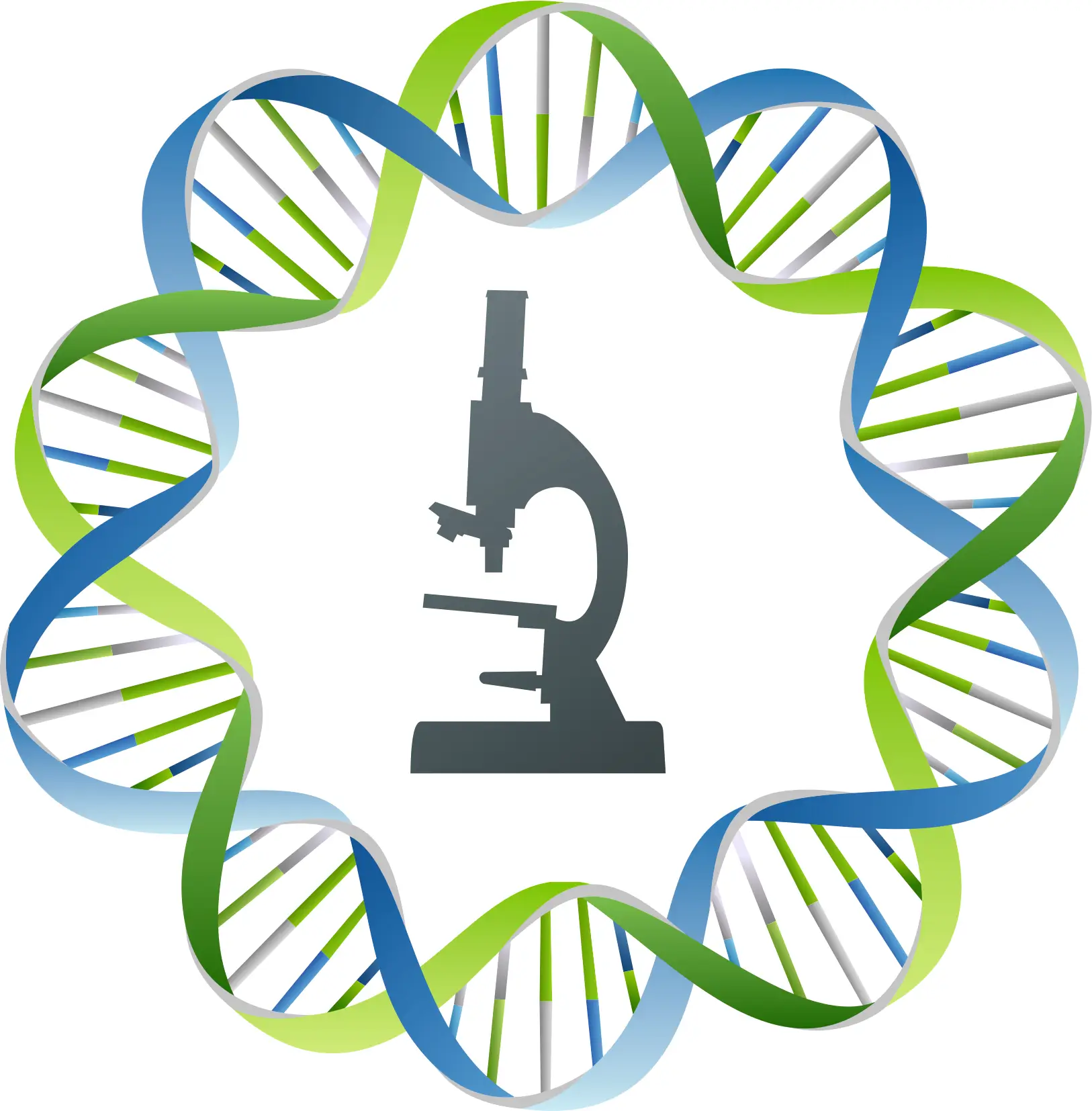 Previous Raptaki Labs logo